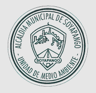 sellodemaderaautorizados3